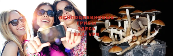 ешки Волосово