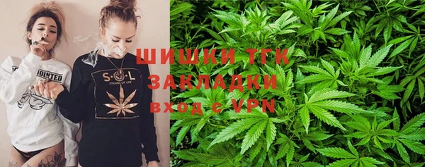 сатива Верея